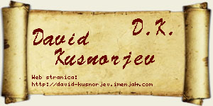 David Kušnorjev vizit kartica